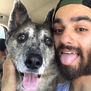 Meet your Posher, Thomas